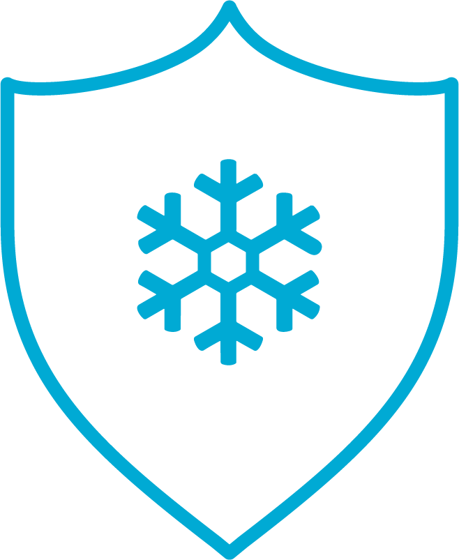Icon of a snowflake in a shield